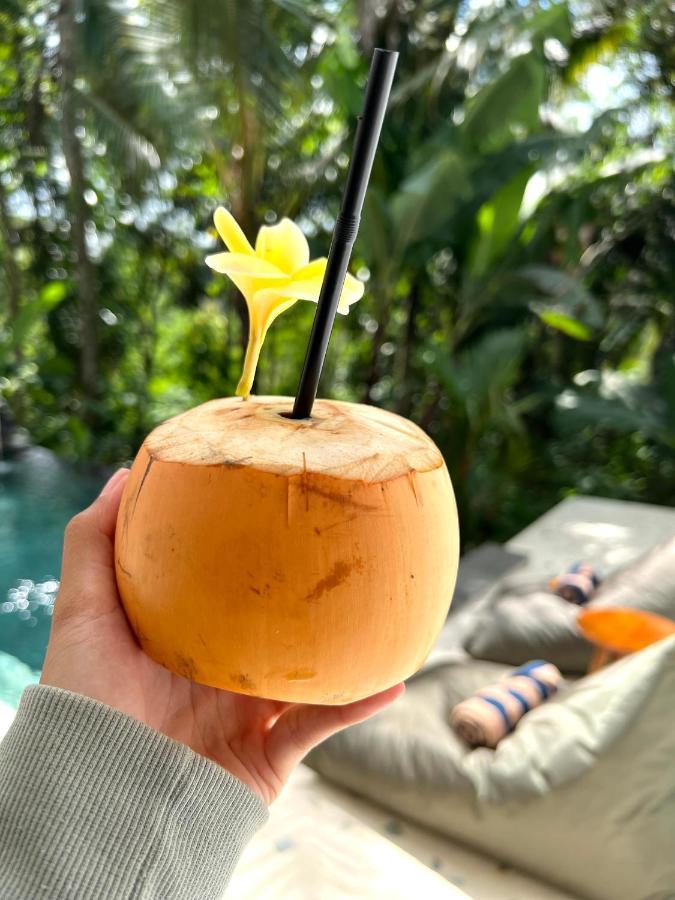 Nirankara Ubud Villa Екстер'єр фото