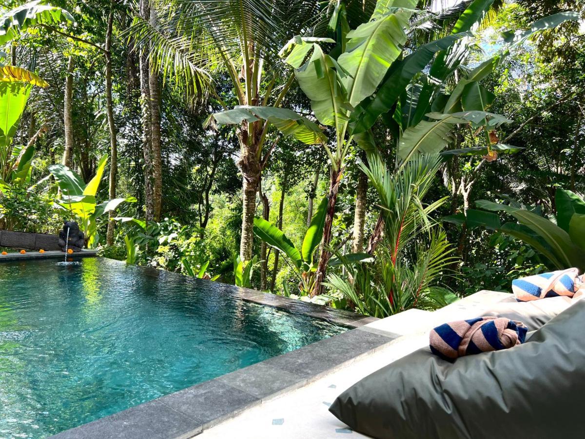 Nirankara Ubud Villa Екстер'єр фото